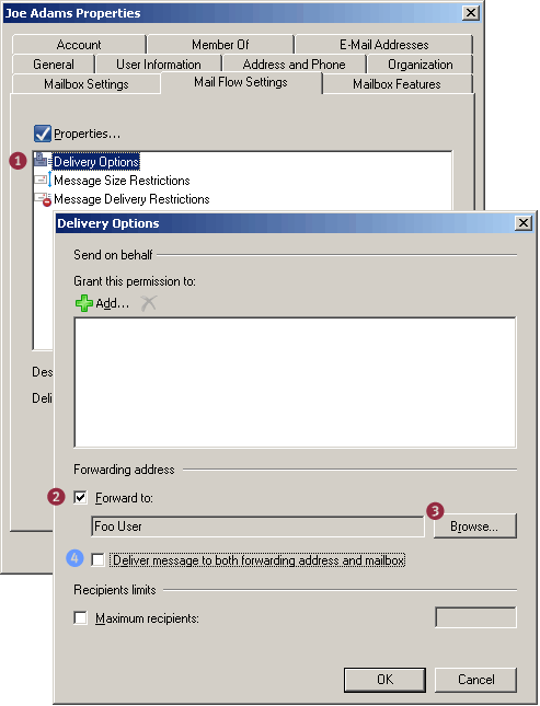 Screenshot: Delivery Options -< Forwarding Address in Exchange 2007